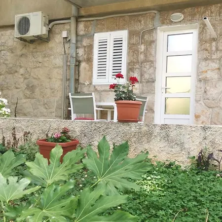 Felix * Dubrovnik